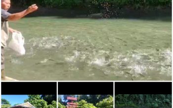 Wisata Sungai Larangan Taba Lubuk Puding Siap Dilaunching Awal 2025