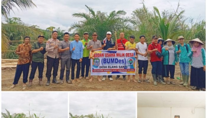 Pemdes Kayu Elang Gandeng BUMDes, Tanam Jagung untuk Ketahanan Pangan