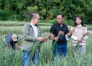 Satgas Pangan Polri Perkuat Swasembada Bawang Putih, Lahan Tanam di Sembalun Capai 534 Hektare