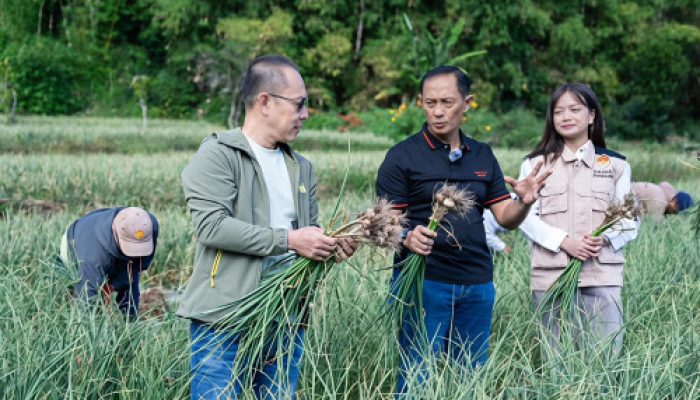 Satgas Pangan Polri Perkuat Swasembada Bawang Putih, Lahan Tanam di Sembalun Capai 534 Hektare