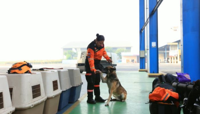 Terbang dengan Pesawat Khusus, Polri Kerahkan 10 K9 SAR Berpengalaman ke Flores, Misi Pencarian Korban
